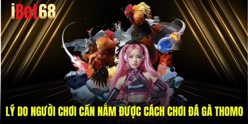 Lý do người chơi cần nắm được cách chơi đá gà Thomo 