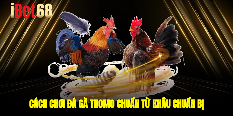 Cách chơi đá gà Thomo chuẩn từ khâu chuẩn bị