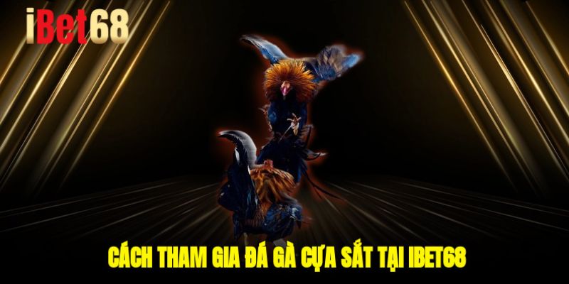 Cách tham gia đá gà cựa sắt tại Ibet68