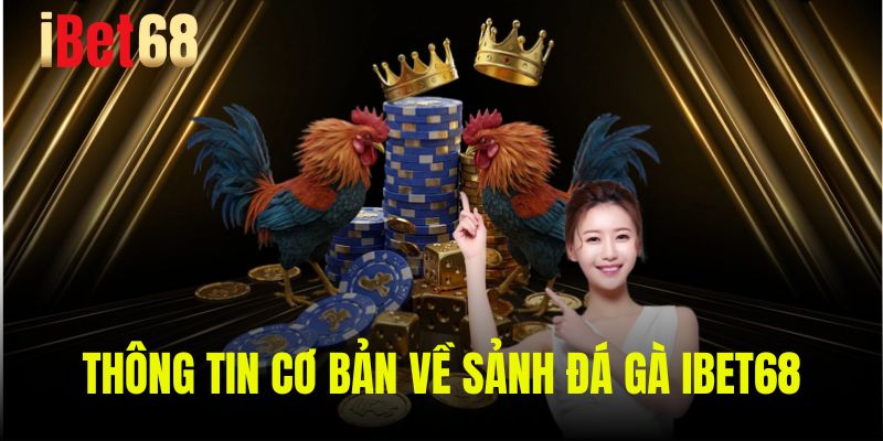 Thông tin cơ bản về sảnh đá gà Ibet68