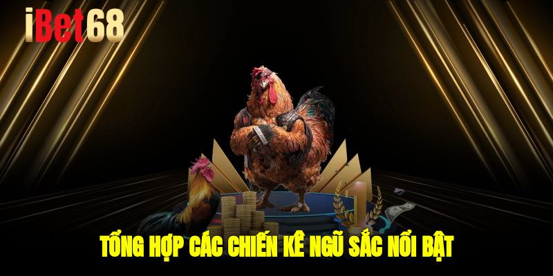 Tổng hợp các chiến kê ngũ sắc nổi bật