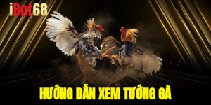 huong dan xem tuong ga