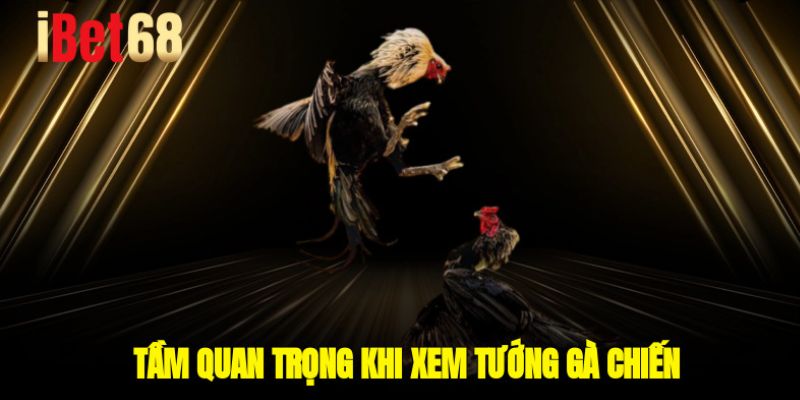 Tầm quan trọng khi xem tướng gà chiến