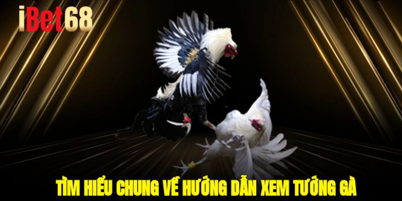 Tìm hiểu chung về hướng dẫn xem tướng gà