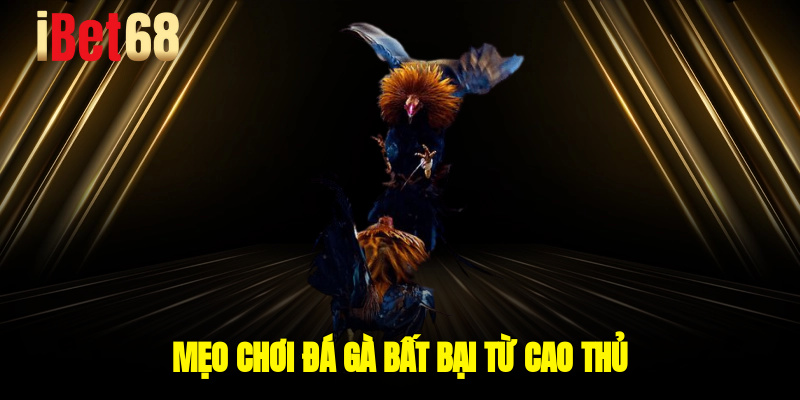 Mẹo chơi đá gà bất bại từ cao thủ